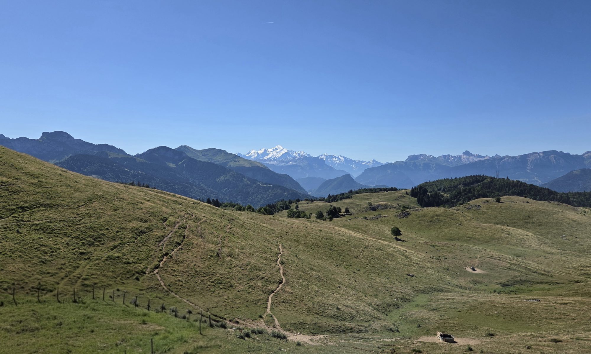 Les Foulées Chablaisiennes